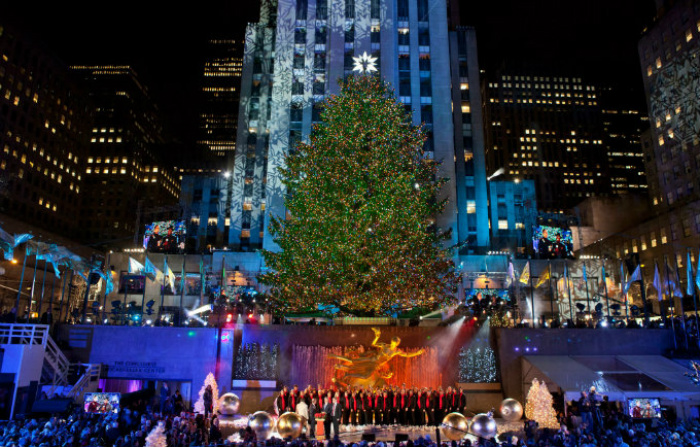 Best Christmas Trees in New York